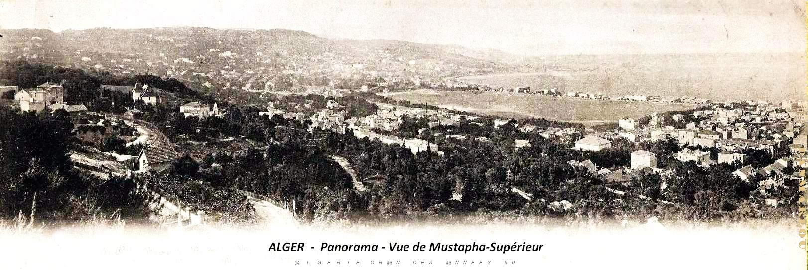 Alger - Panorama - Vue prise de Mustapha Superieur.jpg